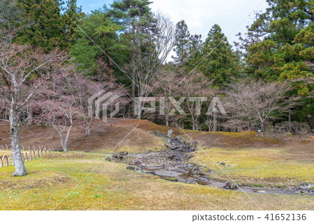 Water supply in the Pure Land garden at Motsuji Temple 41652136
