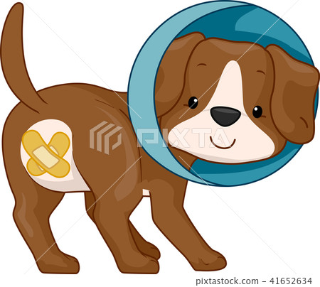 Dog Neuter Illustration Dog Neuter Illustration 41652634