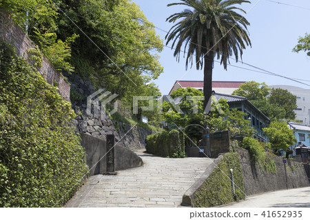 Dutch Hill in early summer Dutch Hill in early summer 41652935