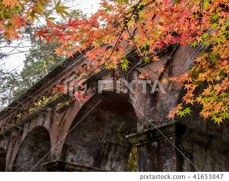 Colorful autumn foliage at Nanzenji Suirokaku and Lake Biwa Canal in Kyoto Colorful autumn foliage at Nanzenji Suirokaku and Lake Biwa Canal in Kyoto 41653847