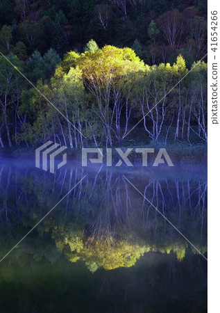 志賀高原的秋天 志賀高原的秋天 41654266