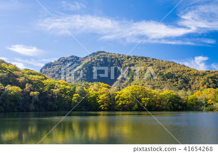 丸池的秋天 41654268