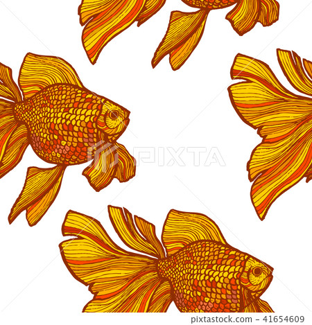 Colored Goldfish Pattern in Hand-Drawn Style Colored Goldfish Pattern in Hand-Drawn Style 41654609