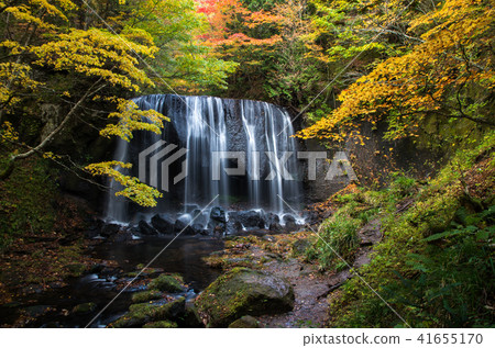 Tsuruzawa不動瀑布的秋天 41655170
