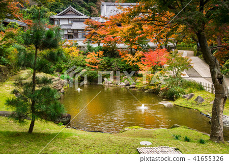 鎌倉圓覺寺妙高池 41655326