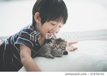 asian child playing with short hair kitten 41656242