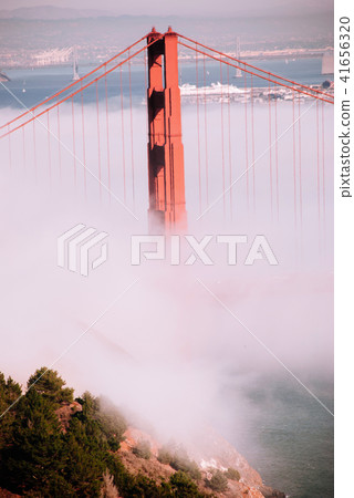 San Francisco Golden Gate bridge on foggy day San Francisco Golden Gate bridge on foggy day 41656320