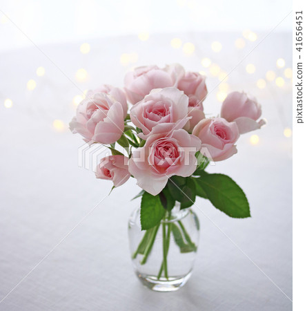 Spray rose 41656451