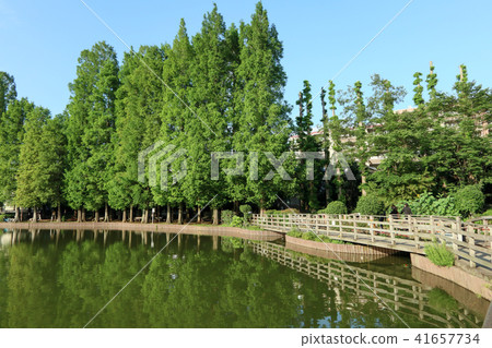 Saitama Numa Park埼玉市南區 Saitama Numa Park埼玉市南區 41657734