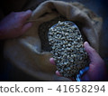 Coffee beans  41658294