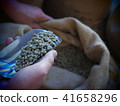 Coffee beans 41658296