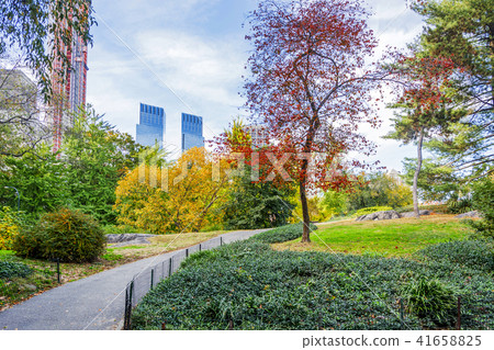 View of Central Park in New York View of Central Park in New York 41658825