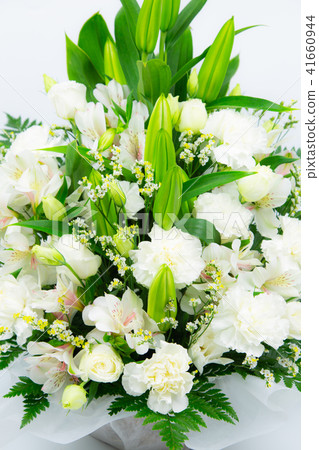 Summer Gift 41660944