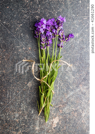 The lavender flowers. The lavender flowers. 41661290