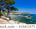 Beautiful views of Amphitheatre Bay 41661475