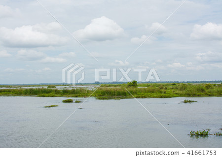 Red Lotus Sea UdonThani, Thailand Red Lotus Sea UdonThani, Thailand 41661753