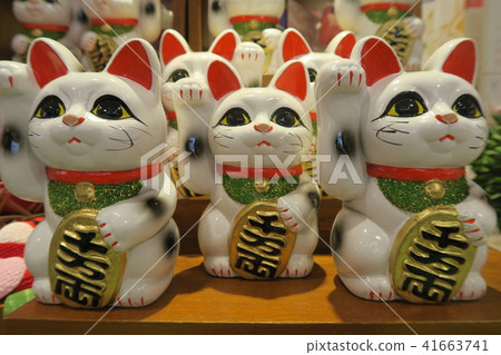 幸運貓 幸運貓 41663741