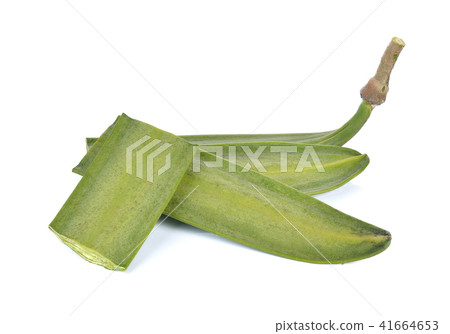 Broken Bones   isolated on white backgrod 41664653