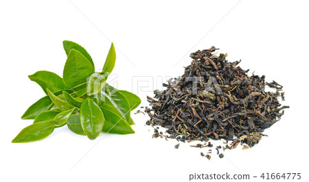 green tea leaf green tea leaf 41664775