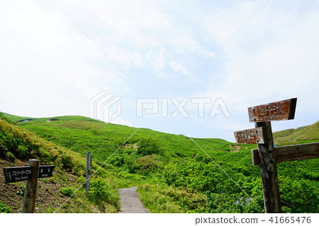 Rebun Island Momoiro Observatory Hiking Trail Rebun Island Momoiro Observatory Hiking Trail 41665476