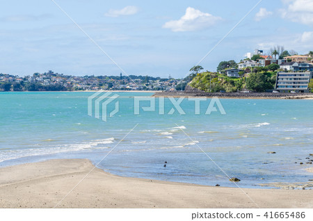Mission Bay which is located at Auckland. 41665486