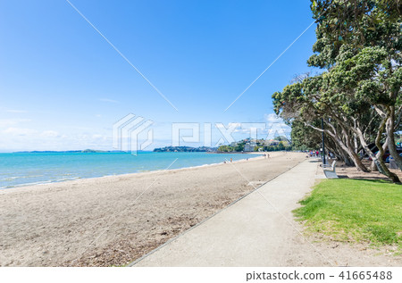 Mission Bay which is located at Auckland. Mission Bay which is located at Auckland. 41665488