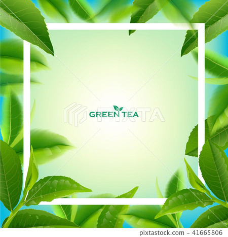 Green tea leaves vector nature background. - Stock Illustration ...