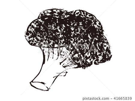 Broccoli watercolor painting 41665839