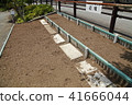Flowerbed gardening 41666044