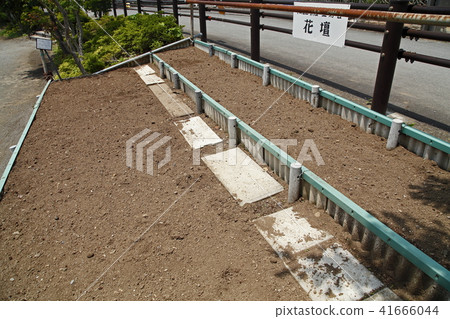 Flowerbed gardening 41666044