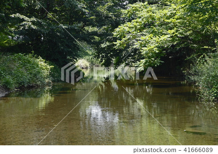 Sakagawa (Machida City · Sagamihara City) 41666089