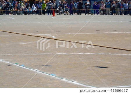 Elementary school athletic meet landscape tug of war 41666627