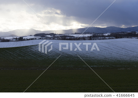 Land to be light inserted Land to be light inserted 41666645