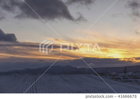 Dusk of Biei 41666678