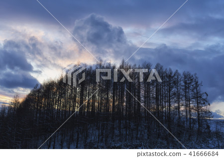 Dusk of Biei 41666684