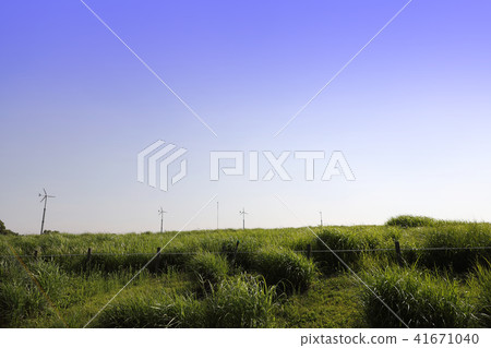 晴朗的天空和綠油油的草地風景 晴朗的天空和綠油油的草地風景 41671040