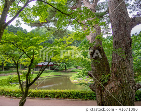 [伊豆]日本花園景觀，池塘[首善寺彩虹村] 41671080