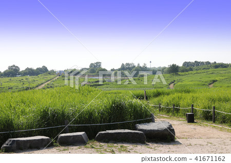 Landscape of meadow and fence road under clear sky Landscape of meadow and fence road under clear sky 41671162