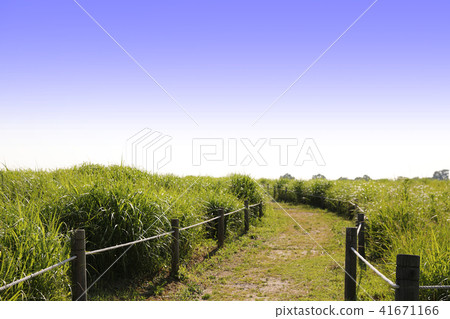 Landscape of meadow and fence road under clear sky Landscape of meadow and fence road under clear sky 41671166