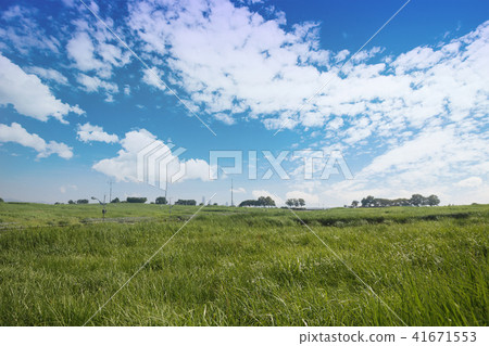 A green meadow road under a cloudy sky 41671553
