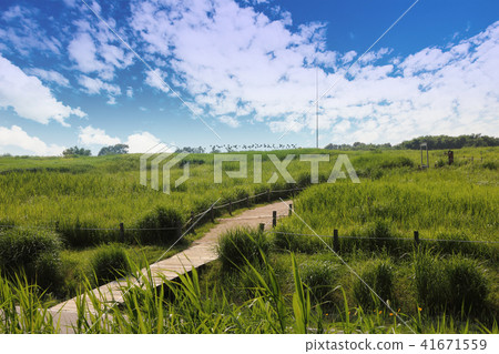A green meadow road under a cloudy sky A green meadow road under a cloudy sky 41671559