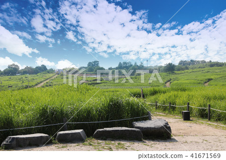 A green meadow road under a cloudy sky A green meadow road under a cloudy sky 41671569