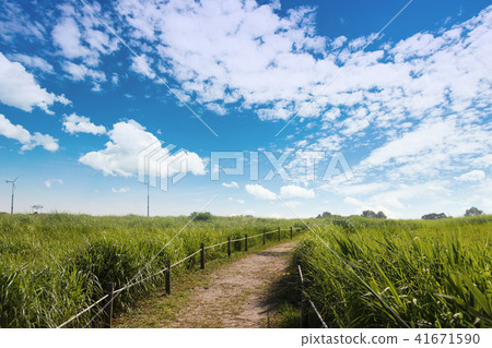 A green meadow road under a cloudy sky A green meadow road under a cloudy sky 41671590