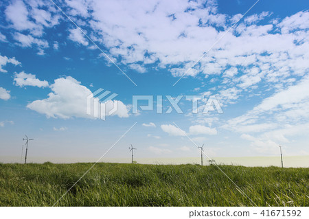 A green meadow road under a cloudy sky A green meadow road under a cloudy sky 41671592