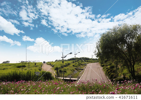 A green meadow road under a cloudy sky A green meadow road under a cloudy sky 41671611