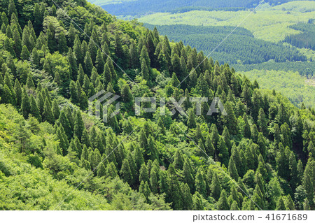 羽山 羽山 41671689