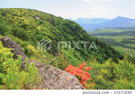 羽山 羽山 41671690