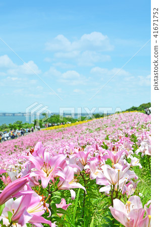 Landscape of Osaka Miyusuri Garden Landscape of Osaka Miyusuri Garden 41671752