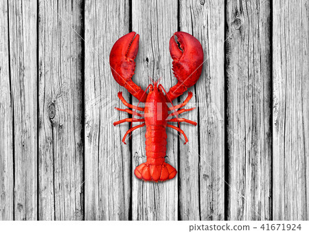 Lobster On Old White Wood Background 41671924