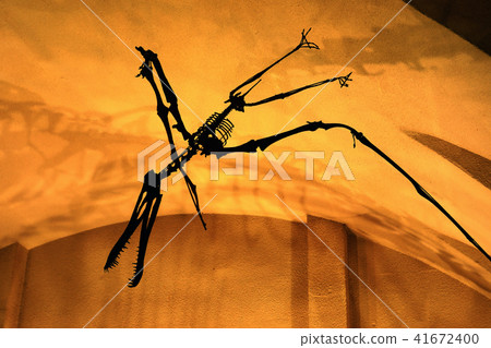 Night museum 08 (Tsubasa Pteranodon) 41672400